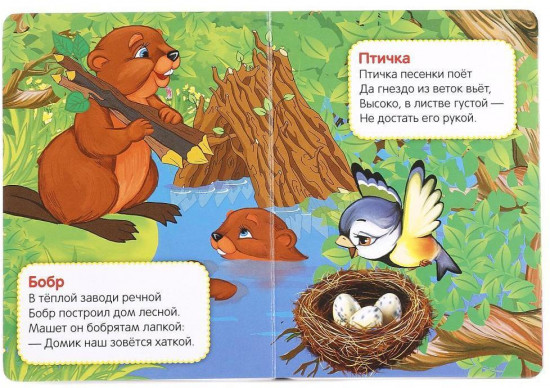 Книжка-малышка «Кто где живёт?»