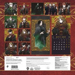 Календарь настенный на 2025 год «Гарри Поттер. Коллекция „Аниме“» - Фото 1