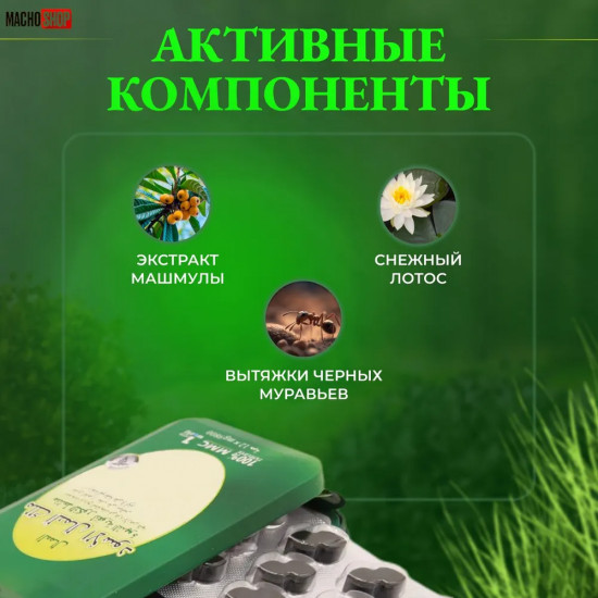Возбуждающее средство для потенции «Зелёный муравей»