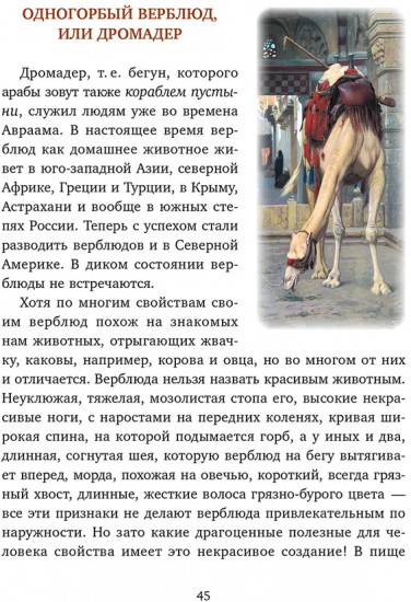 Всякой вещи свое место
