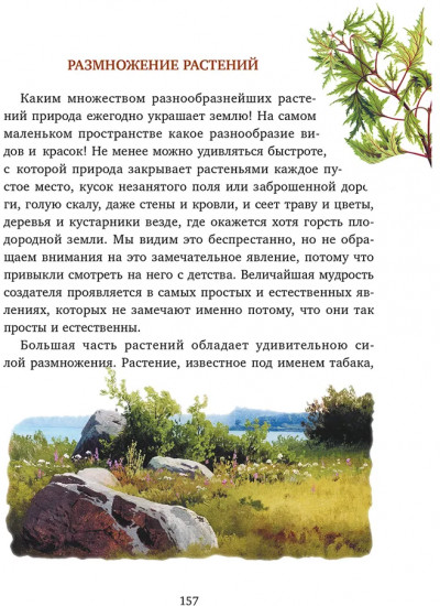 Всякой вещи свое место