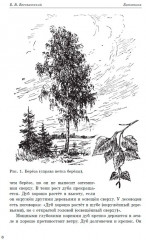 Ботаника. Учебник для 5-6 классов средней школы. 1957 год - Фото 5