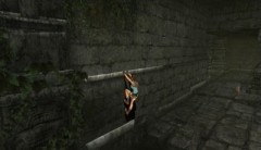 Lara Croft Tomb Raider: Anniversary (Wii) - Фото 7