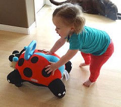 Каталка мягкая Божья коровка - Фото 5