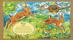 Большая книга природы - Фото 1