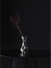 Ваза для сухоцветов «Curve» - Фото 3