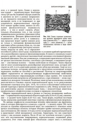 Терапевтическая стоматология - Фото 9