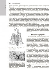 Терапевтическая стоматология - Фото 10