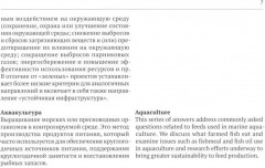 Русско-английский глоссарий терминов устойчивого развития и ESG-трансформации - Фото 4