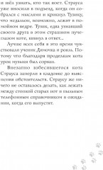 Котлетное расследование кота Страуса - Фото 11