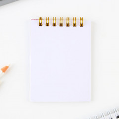 Набор подарочный «Лучшему воспитателю» - Фото 5