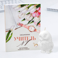 Набор подарочный «Учителю, который вдохновляет» - Фото 2