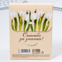 Набор подарочный «Учителю, который вдохновляет» - Фото 11