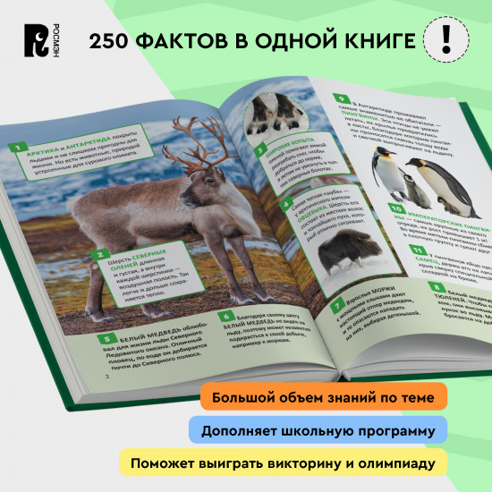 Удивительные животные. 250 фактов. Энциклопедия российского школьника