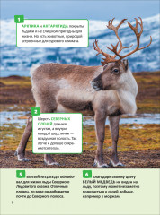 Удивительные животные. 250 фактов. Энциклопедия российского школьника - Фото 8