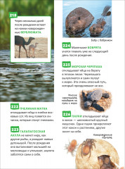 Удивительные животные. 250 фактов. Энциклопедия российского школьника - Фото 13