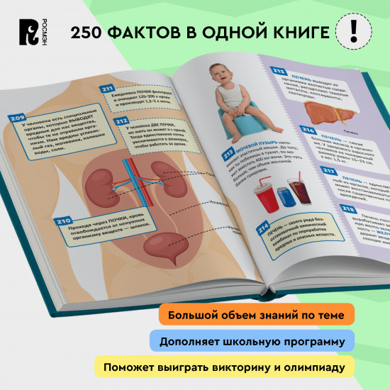 Человек. 250 фактов. Энциклопедия российского школьника