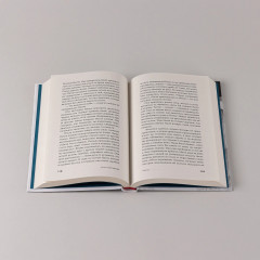 Пятно - Фото 6