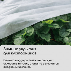 Материал укрывной - Фото 4