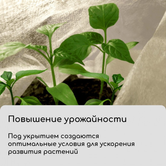 Материал укрывной «Эконом»