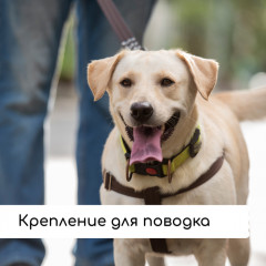 Набор крючков с креплением для шнура - Фото 6