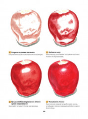 Школа художника. Рисуем реалистичные картины цветными карандашами,пошаговые уроки - Фото 4