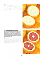 Школа художника. Рисуем реалистичные картины цветными карандашами,пошаговые уроки - Фото 5