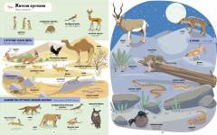 Я учу английский. 1000 животных - Фото 2