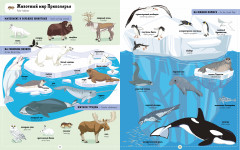 Я учу английский. 1000 животных - Фото 3