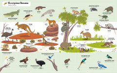 Я учу английский. 1000 животных - Фото 4