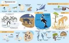 Я учу английский. 1000 животных - Фото 5