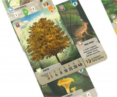 Игра настольная «Смешанный лес» - Фото 2