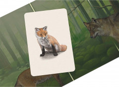 Игра настольная «Смешанный лес» - Фото 3