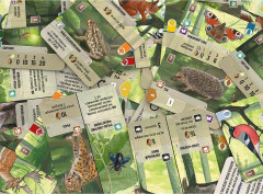 Игра настольная «Смешанный лес» - Фото 4