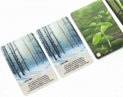 Игра настольная «Смешанный лес» - Фото 5