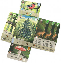 Игра настольная «Смешанный лес» - Фото 6