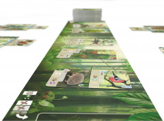 Игра настольная «Смешанный лес» - Фото 8