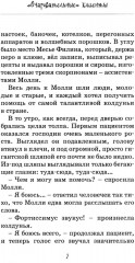 Кот колдуньи Молли. Таинственное исчезновение - Фото 4