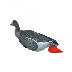 Комплект разборных чучел «Белолобый гусь» - Фото 1