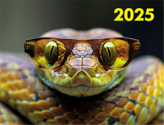 Календарь квартальный на 2025 год «Символ года 1. Змея» - Фото 1