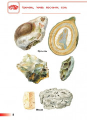 От земли до неба. Атлас-определитель - Фото 8