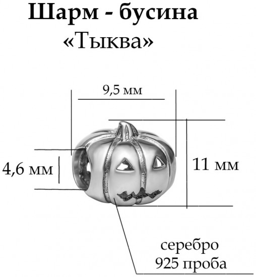 Шарм из серебра