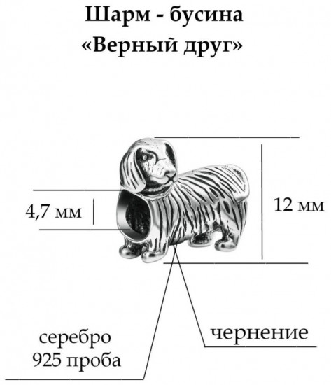 Шарм из серебра