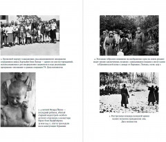 Империя истребления. История массовых убийств, совершенных нацистами - Фото 2