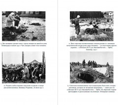 Империя истребления. История массовых убийств, совершенных нацистами - Фото 3