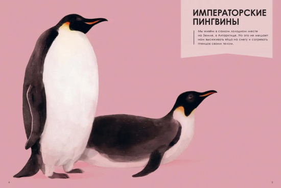 Лучшие родители