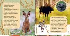 Комплект из 5 книг «Окошко в мир» - Фото 1