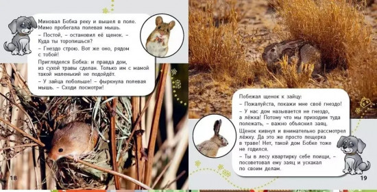 Комплект из 5 книг «Окошко в мир»