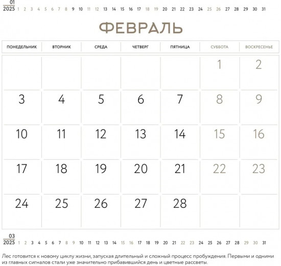 Календарь настенный на 2025 год «Наедине с природой»