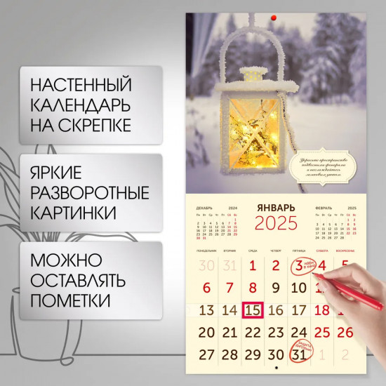 Календарь настенный на 2025 год «Сад идей»